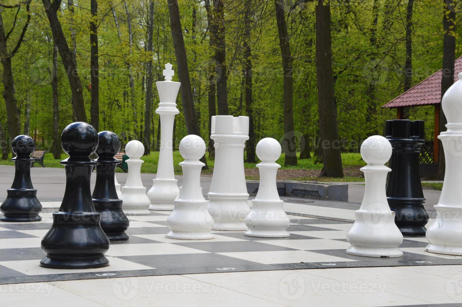xadrez de rua com peças grandes no parque da cidade 10338801 Foto de stock  no Vecteezy
